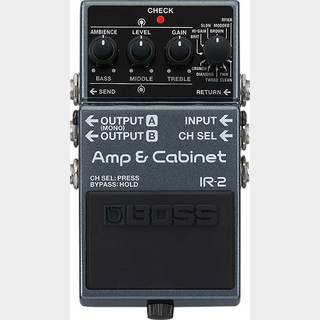 BOSS IR-2 Amp & Cabinet