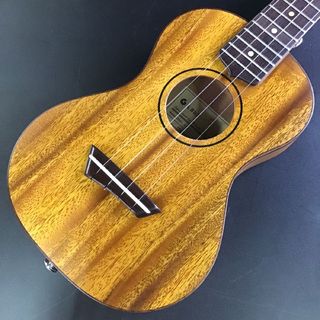 G-LABO 【現物画像】【送料無料】ウスレレ DISH-1TC16FN【ガズレレ】