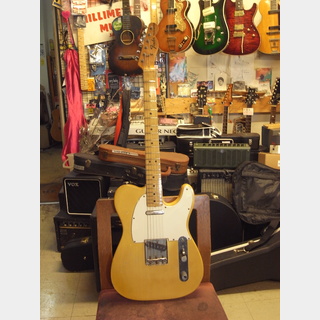 エレクトリックギター ＞ TLタイプ、Fender、Telecasterの検索結果