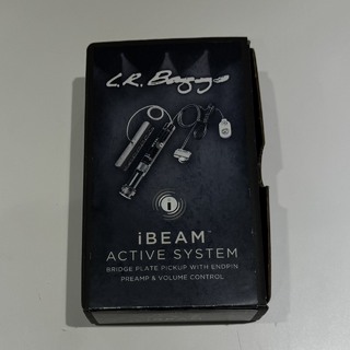 L.R.Baggs iBEAM ACTIVE アコースティックギター用ピックアップ