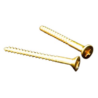 FU-Tone Brass Spring Claw Screws トレモロスプリングホルダースクリュー 2本セット