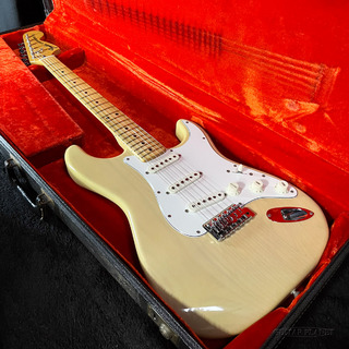 エレクトリックギター ＞ STタイプ、Fender、Stratocasterの検索結果