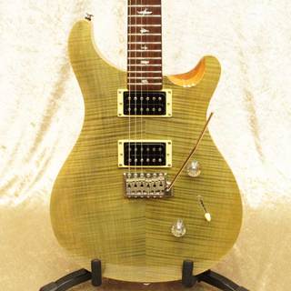 Paul Reed Smith(PRS)SE Custom 24