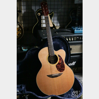 VERSOULの検索結果【楽器検索デジマート】