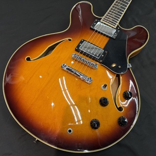 エレクトリックギター ＞ セミアコ、Ibanezの検索結果【楽器検索