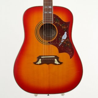 Epiphone Dove 【心斎橋店】