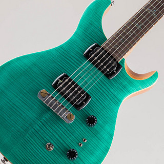 Paul Reed Smith(PRS)SE Paul's Guitar / Turquoise