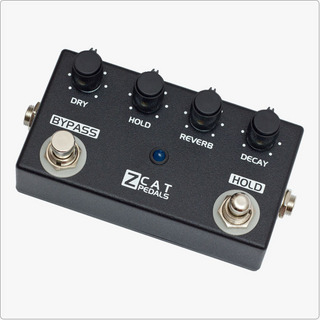 ZCAT PedalsHold-Reverb Reverb + Hold