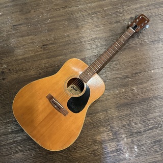 Greco Model 100 Acoustic Guitar