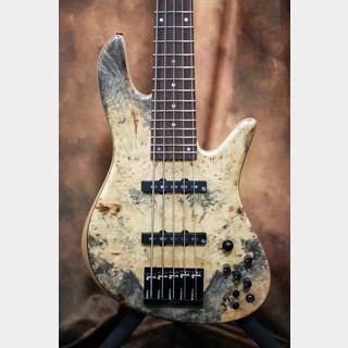 Fodera Emperor 5 Bolt-on Custom Buckeye Burl