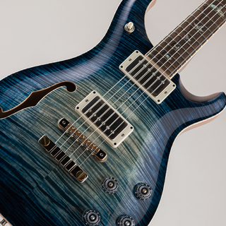 Paul Reed Smith(PRS) Private Stock # 11643 McCarty 594 Semi-hollow Whale Blue Glow "Ziricote Neck/FB"