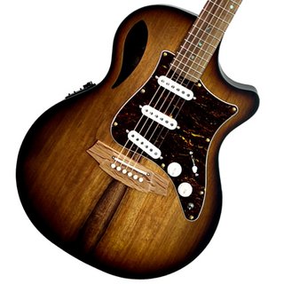 Cole ClarkTrue Hybrid Series CCTL2EC-BLBL-SSS Sunburst Satin Blackwood top back and sides【WEBSHOP】