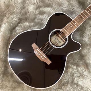 Takamine TDP161C