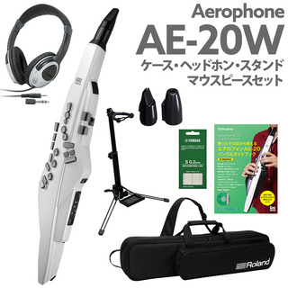 Roland AE-20W ケース ヘッドホン 専用スタンド 交換用マウスピース ガイドブック セット エアロフォン