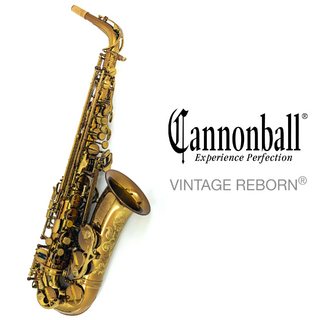 CannonBall AVR-L "Vintage Reborn Series" OUTLET