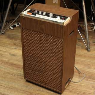 ACE TONEの検索結果【楽器検索デジマート】