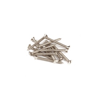 Fenderフェンダー Pure Vintage Slotted Telecaster Neck Mounting Screws Nickel ネックセット用ネジ 12コ入り