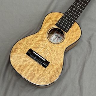 ASTURIAS Tiny Concert Mango Limited/オールマンゴー/実物写真