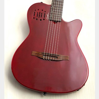 アコースティックギター／エレクトリック・アコースティックギター