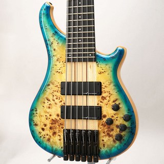 Tune 【USED】 Zi III-6 Headless Burl Poplar (Blue Burst)