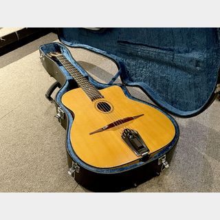 BlueridgeBM-250 Saga Musical Instrument