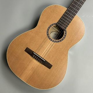 Godin Etude Clasica II ナイロンギター【現物写真】