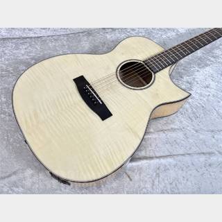 Aria Dreadnoughtの検索結果【楽器検索デジマート】