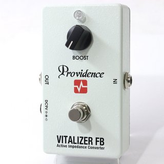 Providence VITALIZER 美品 PROVIDENCE ( プロヴィデンス ) VZF-1 VITALIZER BF 送料無料