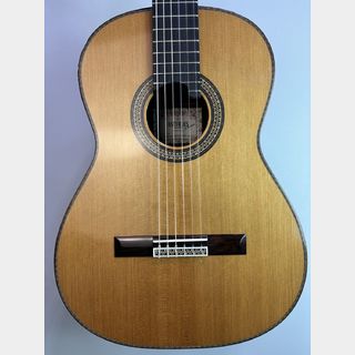 ASTURIAS RENAISSANCE/C 640mmスケールタイプ