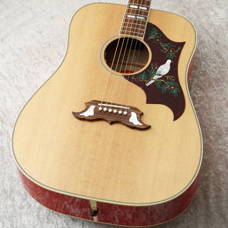 アコースティックギター、Gibson、Gibson Custom Shop、Doveの検索結果