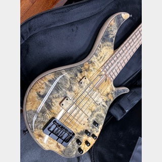 F-bassF Bass BN5 Buckeye Top