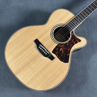アコースティックギター／エレクトリック・アコースティックギター