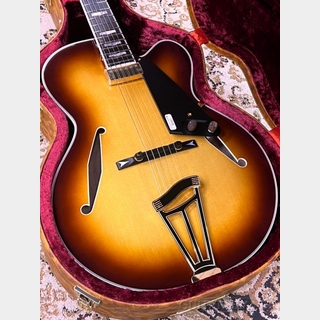 エレキギター、FUJIGEN(FGN)の検索結果【楽器検索デジマート】