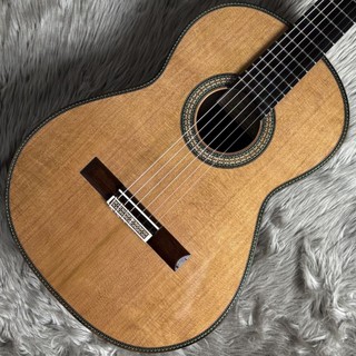 VICENTE CARRILLO Maestro NOMEX/C/650