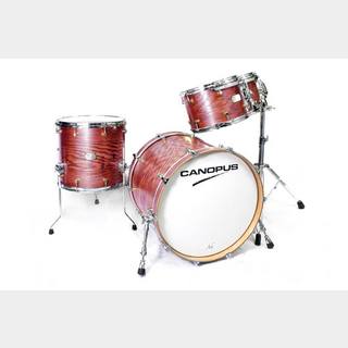 canopus CANOPUS Ash Studio Kit Plus Vermilion Oil (20BD.10TT.12TT.14FT)