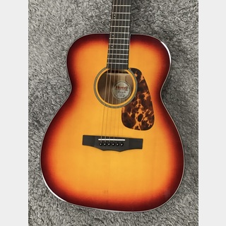 Morris F-025 RBS  (Red Brown Sunburst)  -Performers Edition-【小物6点セットサービス!】