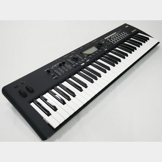 KORG KROSS2-61 + SoftCase