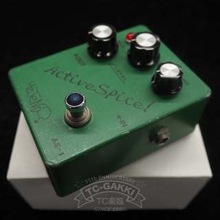 ギター ACTIVE SPICE (2009 Limited) / HaTeNa? HaTeNa?の検索結果【楽器検索デジマート】