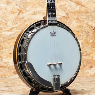 アコースティックギター／エレクトリック・アコースティック