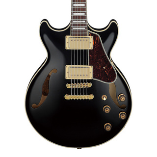 エレクトリックギター ＞ セミアコ、Ibanezの検索結果【楽器検索