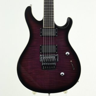 PRS SE SE Torero Purple Burst【福岡パルコ店】