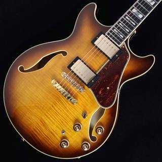 エレクトリックギター ＞ セミアコ、Ibanezの検索結果【楽器検索