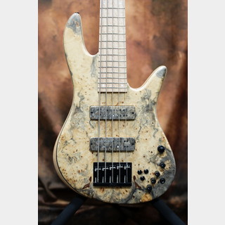 EDEN、CaliforniWahの検索結果【楽器検索デジマート】