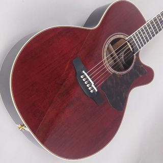 Takamine DMP50S WR エレアコギター 【島村楽器 x Takamine コラボモデル】