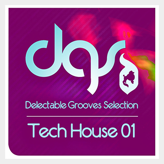 DELECTABLE RECORDS TECH HOUSE GROOVES SELECTION 01