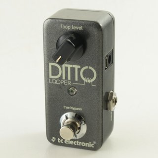 tc electronic Ditto Looper 【御茶ノ水本店】