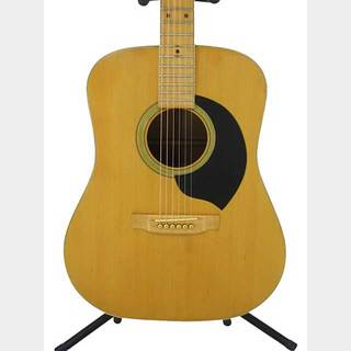 アコースティックギター／エレクトリック・アコースティックギター