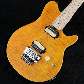 Sterling by MUSIC MAN Japan Limited AX40 Trans Gold【御茶ノ水本店】