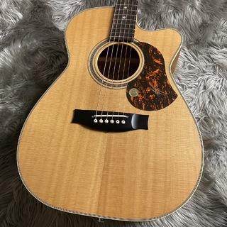 MATON EBG808CTE(Tommy Emmanuel)【現物画像】【最大36回分割無金利キャンペーン実施中】