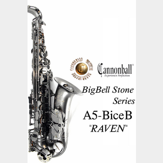 管楽器・吹奏楽器の検索結果【楽器検索デジマート】